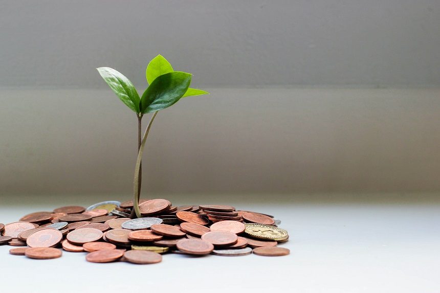 Image, seedling growing out of a pile of coins